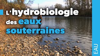 Lhydrobiologie des eaux souterraines [upl. by Anit]