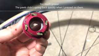 New Novatec Jetfly Fix Quiet Hubs and Pawls Not Engaging [upl. by Salokcin]