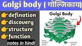 golgi body structure and function in hindi cell biology bsc biology [upl. by Bast]