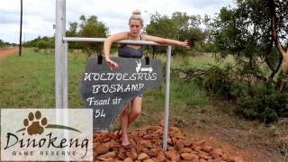 KoedoesRus Bush Camp  Dinokeng Game Reserve  Gauteng [upl. by Knowle]