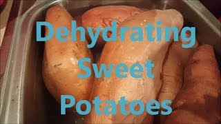 Dehydrating Sweet Potatoes [upl. by Latsyrk]