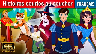 Histoires courtes au coucher  Histoire Pour Sendormir  Contes De Fées  Histoire Pour Dormir [upl. by Cyrill]