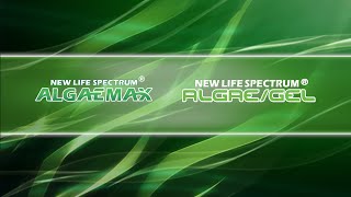 Introducing New Life AlgaeMAX and AlgaeGel [upl. by Oironoh305]