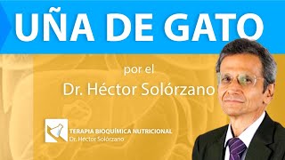 ¿Por qué la UÑA DE GATO NO es solo un MITO Reduce tu Inflamación y más 😺 [upl. by Meingoldas]