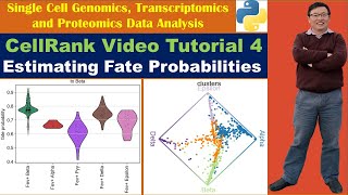 CellRank Video Tutorial 4 Estimating Fate Probabilities [upl. by Leake]