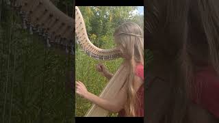 Kingsfold Celtic Harp Hymnprov I Heard the Voice of Jesus Say shorts harp hymns celticharp [upl. by Jordanna]