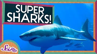 Super Sharks  Amazing Animals  SciShow Kids [upl. by Cammie]