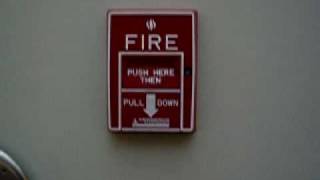 Pulling the fire alarm for a fire drill at Potomac Hall [upl. by Reggy187]