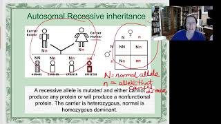 Autosomal Recessive disorders [upl. by Refynnej]