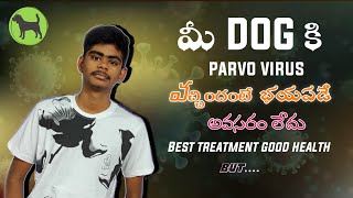 parvo virus వస్తే భయపడే అవసరం లేదు  parvo virus Best treatment in Telugu  Rottweiler training [upl. by Siurtemed402]