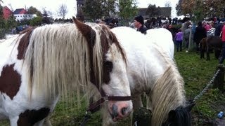 Ballinasloe Horse Fair 2012 [upl. by Hesoj]