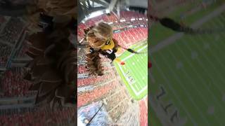 Highest Rope Swing Drop 😳 atlantafalcons [upl. by Idorb]