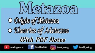 Metazoa Origin Of Metazoa Theories related to origin with Notes [upl. by Henri]