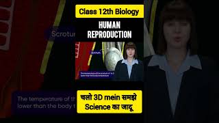 Class 12 Biology Human Reproduction✅ NCERT Complete Guide for Students Shorts🔥 [upl. by Nana]