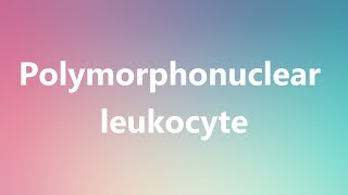 Polymorphonuclear leukocyte  Medical Meaning and Pronunciation [upl. by Bruce]