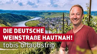 Die Deutsche Weinstraße hautnah  Tobis Urlaubstrip  erlebnis hessen  doku  reisen [upl. by Cathey2]