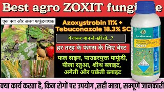 Zoxit fungicide best agro zoxit fungicide Azoxistrobin 11  Tebuconazole 183SC best fungicide [upl. by Baun]