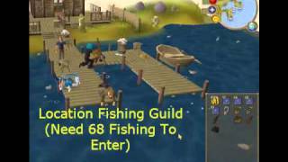 99 Fishing Guide For Level 3 Skillers F2P and P2P [upl. by Civ545]