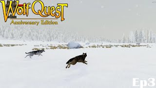 Becoming Mates  Ep3  Wolfquest AE [upl. by Bertie]