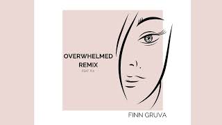 Finn Gruva  Overwhelmed Remix feat Fiji Audio [upl. by Ahtiuqal49]