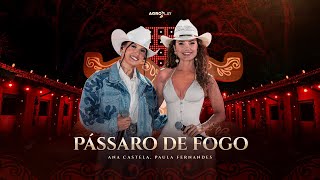 Ana Castela ft paulafernandes  Pássaro de Fogo DVD Herança Boiadeira [upl. by Anihs]