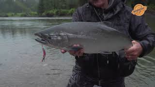 Kitimat Lodge BC Kwikfish Coho [upl. by Jeritah]