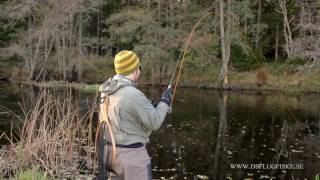 Flugfiske Trout Area Flyfishing  Mässversionen [upl. by Yorgerg]