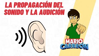 La Propagación del Sonido y la Audición 🔈 [upl. by Marcos49]