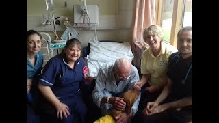 PAT dog Evie surprised patients at St Richards Hospital as Guest of Honour [upl. by Aliekahs]