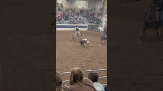 Bulldogging LCCC 24 shortsvideo rodeo ￼ [upl. by Eolc634]