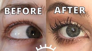 Eyenvy Lash Serum Review  4 Month Results [upl. by Mahla]