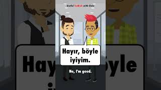 Learn Turkish Do you need anything [upl. by Eichman877]