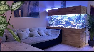 GERMAN REEF TANKS  1000 Liter Meerwasseraquarium  ultra HD reeftank aquarium salzwasseraquarium [upl. by Anelem]