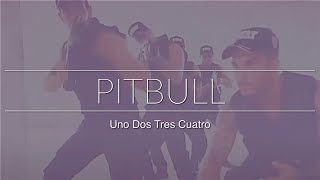 Uno Dos Tres Cuatro Pitbull Daniel Sebastian [upl. by Nhor]