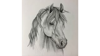 How to draw horse 🐎  horse face drawing tutorial  step by step [upl. by Queen]