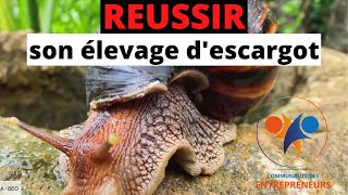 ELEVAGE DESCARGOTScomment réussir son élevage descargots [upl. by Ellerret]