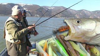 Pecanje smuđa na Dunavu  Đerdap Donji Milanovac  Varaličarenje  Fishing zander [upl. by Dlonyer562]