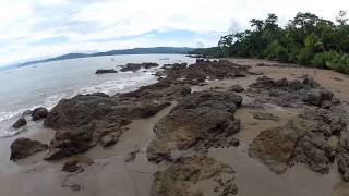 Corcovado National Park near Drake Bay Costa Rica Full HD [upl. by Bravin]