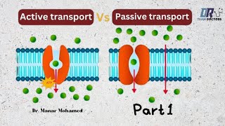 TUT physiology  part 1 Methods of transport  passive transport [upl. by Dylana]