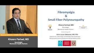 Fibromyalgia amp Small Fiber Polyneuropathy Full Lecture  Khosro Farhad MD [upl. by Nnire]