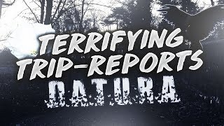 Terrifying Trip Reports 1  Datura 3 Days of Insanity [upl. by Victory410]