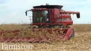 Farm Progress Show 2011 Combine Demo CaseIH 8120 [upl. by Jabin578]