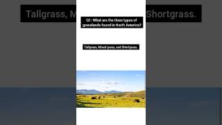 Lets learn about grasslands in North America  Prairies [upl. by Alarice]