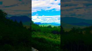 New River Gorge National Park vs White Mountain National Forest ⛰️📸🇺🇸 shorts [upl. by Rafaelle]