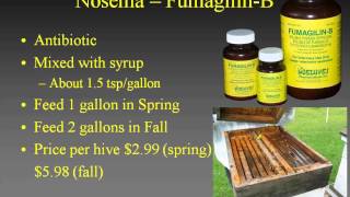 Medications for Your Bees [upl. by Drofla]