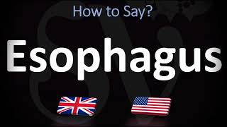 How to Pronounce Esophagus CORRECTLY [upl. by Innattirb]