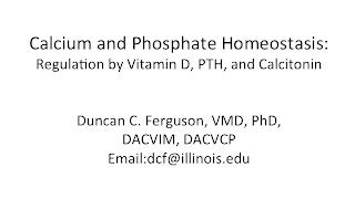 Calcium Physiology Regulation by Vitamin D PTH and Calcitonin [upl. by Anead]