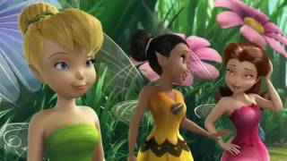 Disney Fairies Funny Episodes in Urdu [upl. by Navonod]