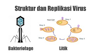 Struktur dan Replikasi Virus Lengkap [upl. by Deedahs]