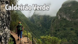 Madeira Day 4 Levada do Caldeirão Verdeon of the best waterfall walks amp Sanatana [upl. by Laeahcim]